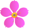 Pin